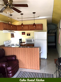 Cabin Rental Kitchen