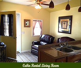 Cabin Rental Living